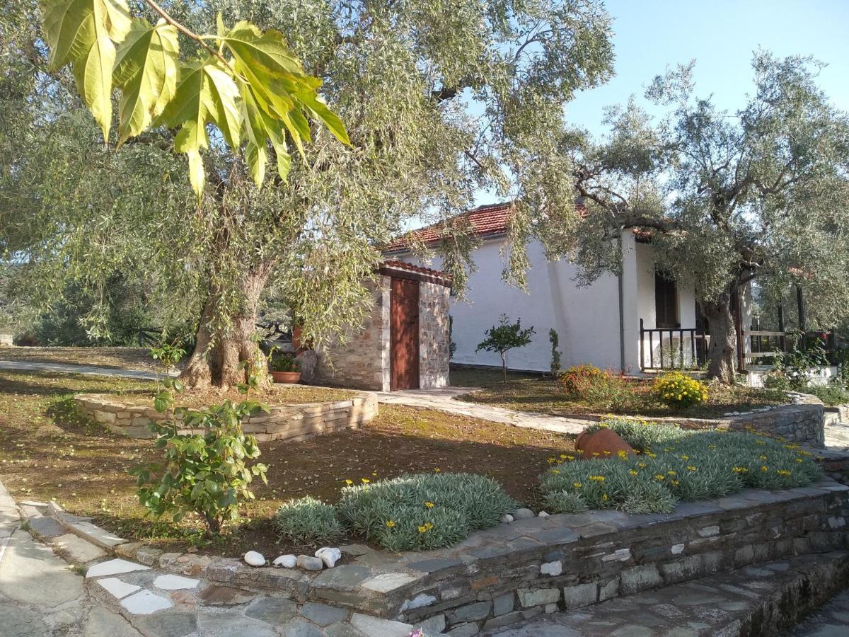 Saint Andrews Bay Villa Milina Exterior photo